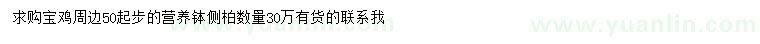 求購50公分起步側(cè)柏