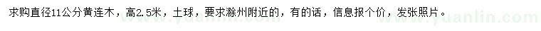 求購直徑11公分黃連木