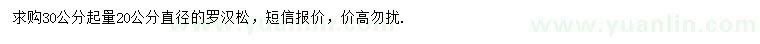 求購30公分起量直徑20公分羅漢松