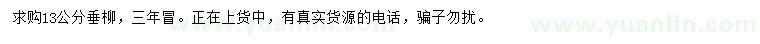 求購13公分垂柳