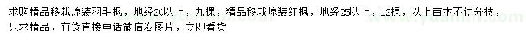 求購地徑20、25公分以上羽毛楓