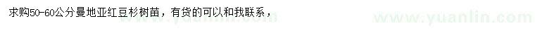 求購50-60公分曼地亞紅豆杉樹苗
