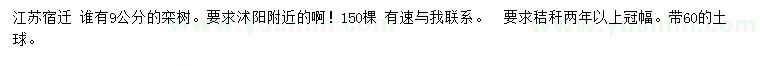 求購9公分欒樹