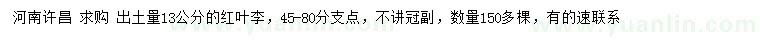 求購(gòu)出土量13公分紅葉李