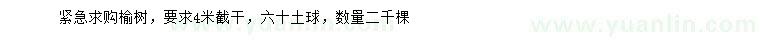 求購榆樹
