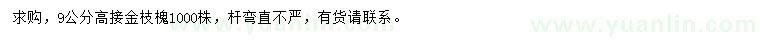 求購9公分高接金枝槐