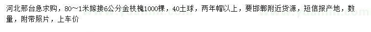 求購6公分嫁接金枝槐