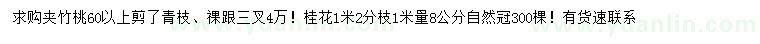求購60公分夾竹桃、1米量8公分桂花