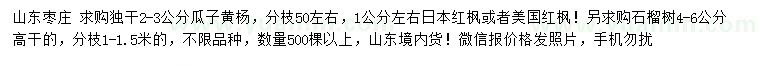 求購獨(dú)桿瓜子黃楊、日本紅楓、美國紅楓等