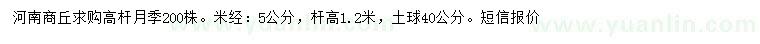 求購米徑5公分高桿月季