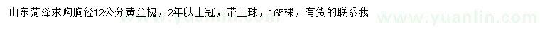 求購胸徑12公分黃金槐
