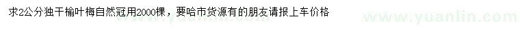 求購2公分獨(dú)干榆葉梅