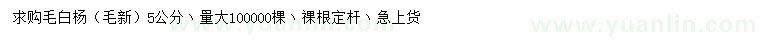 求購5公分毛白楊（毛新）