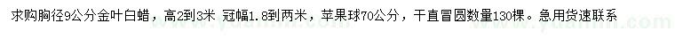 求購胸徑9公分金葉白蠟、70公分蘋果球