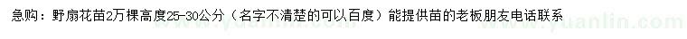 求購高25-30公分野扇花苗