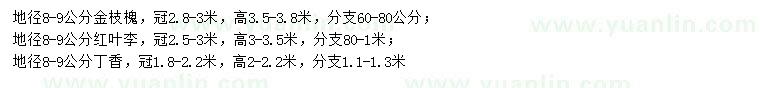 求購(gòu)金枝槐、紅葉李、丁香