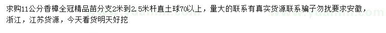 求購11公分香樟全冠精品苗