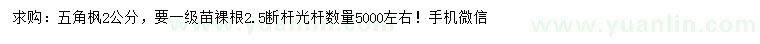 求購2公分五角楓