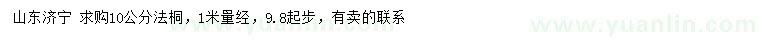 求購10公分法桐