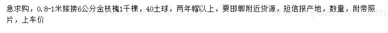 求購6公分金枝槐