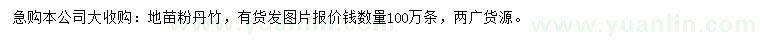 求購粉丹竹