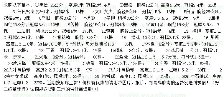 求購(gòu)黑松、白皮松、大葉女貞等