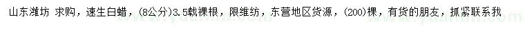 求購8公分速生白蠟