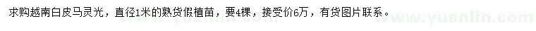 求購直徑1米越南白皮馬靈光