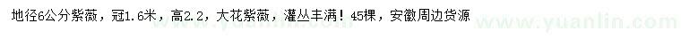 求購(gòu)地徑6公分紫薇
