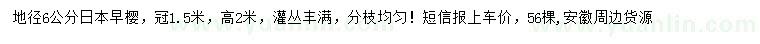 求購地徑6公分日本早櫻