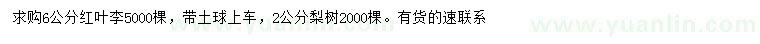 求購6公分紅葉李、2公分梨樹