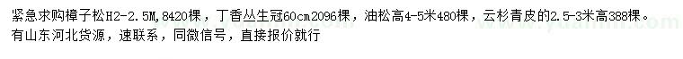 求購樟子松、丁香、油松等