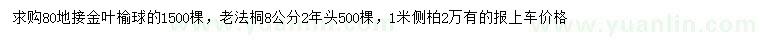 求購(gòu)金葉榆、老法桐、側(cè)柏