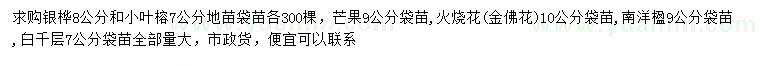 求購銀樺、小葉榕、芒果等