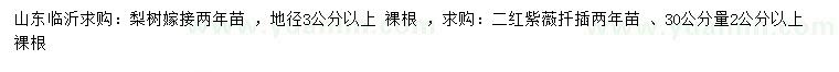 求購地徑3公分以上梨樹、30公分量2公分以上二紅紫薇扦苗