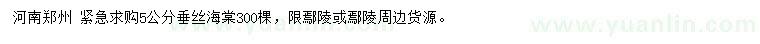 求購5公分垂絲海棠
