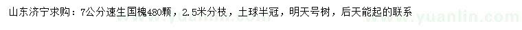 求購(gòu)7公分速生國(guó)槐