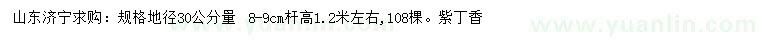 求購地徑30公分量8-9公分紫丁香