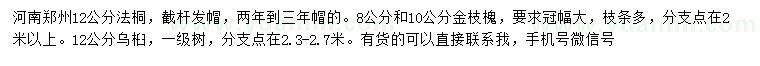 求購12公分法桐、8、10公分金枝槐