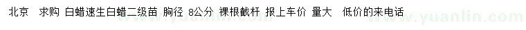 求購胸徑8公分白蠟、速生白蠟