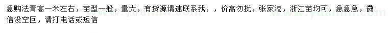 求購(gòu)高1米左右法青