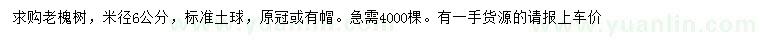 求購(gòu)米徑6公分老槐樹(shù)