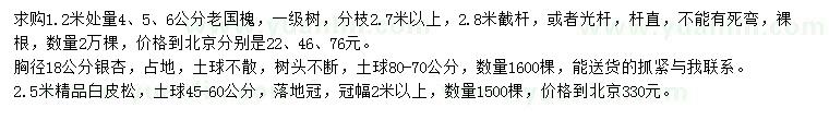 求購老國槐、銀杏、白皮松