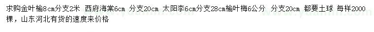 求購金葉榆、西府海棠、太陽李等