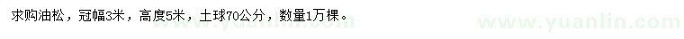 求購冠幅3米油松