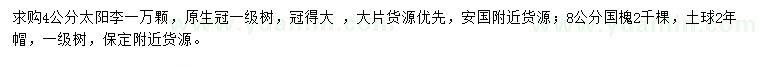 求購(gòu)4公分太陽(yáng)李、8公分國(guó)槐