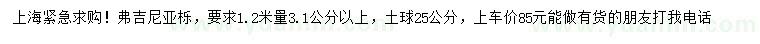 求購1.2米量3.1公分以上弗吉尼亞櫟