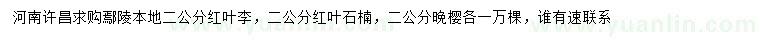 求購(gòu)紅葉李、紅葉石楠、晚櫻