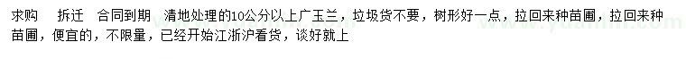 求購(gòu)10公分以上廣玉蘭