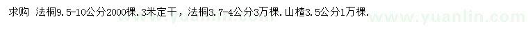 求購3.7-4、9.5-10公分法桐、3.5公分山楂樹